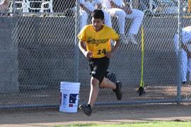 Miles 4 Mentors Willmar Stingers Baseball Runner Taunton Stadium Programs